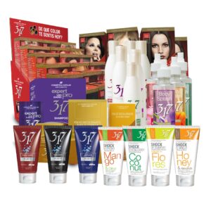 Kit Emprendedora 317